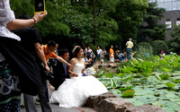 Wedding in peoples park Shanghai.