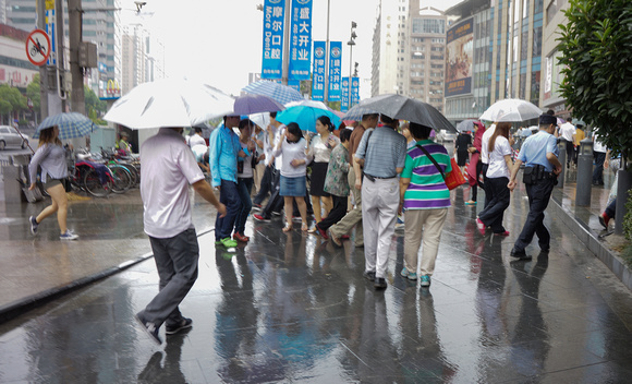 Umbrellas Shanghai