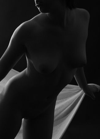 abstract nude in black & white